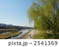 朝の京都鴨川
