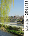 春の京都鴨川