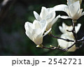 2542721