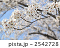 2542728
