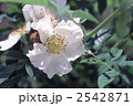 61668