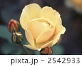 61745