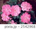 61768