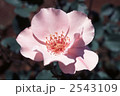 62042