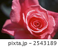 62101