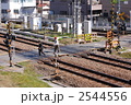 2544556