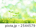 二葉