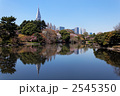 桜咲く新宿御苑の中の池より副都心の高層ビル方面を臨む