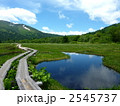 尾瀬国立公園　尾瀬ヶ原の池塘