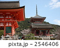 2546406