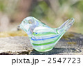 環境保護