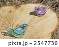 2羽のガラス