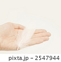 2547944