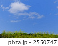 2550747