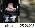 2550808