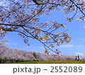 素敵な休日【春の午後】