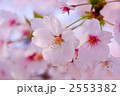 ヒカリのどけき春の日に