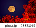 2553845