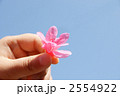 ツツジ　サツキ　手に持つ　青空