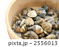 国産、静岡県浜名湖産の大粒アサリ。