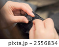 2556834