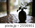 2556901