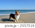 波打ち際で笑う