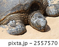 2557570