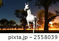 2558039