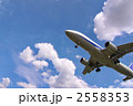 青空の出発