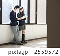 2559572