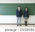 2559594