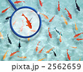 金魚すくい