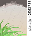 雨とカエル