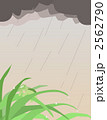 雨と河童