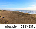 サンフランシスコのポイントロボス海岸