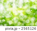 グリーンイメージ