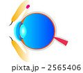 眼の断面図
