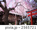 春の水火天満宮