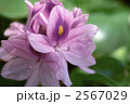 62448