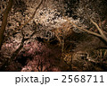 2568711