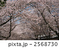 2568730