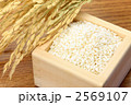 もち米