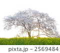 2569484
