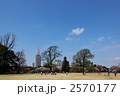 桜満開の新宿御苑の広場より副都心の高層ビル方面を臨む