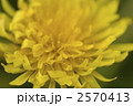 2570413