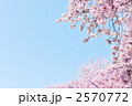 2570772