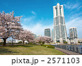桜とランドマークタワー