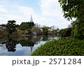 桜満開の新宿御苑の中の池周辺と高層ビル