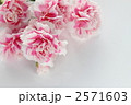 2571603